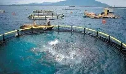 水產養殖新規出臺，是挑戰更是機遇 凈水漁業引領產業未來