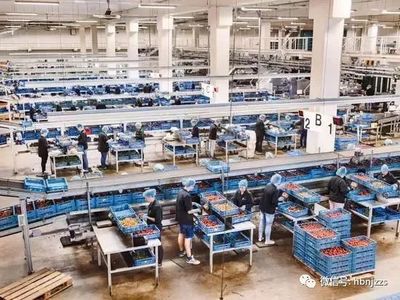 【視界】超越德國？揭秘農(nóng)業(yè)科技領(lǐng)域的隱形冠軍