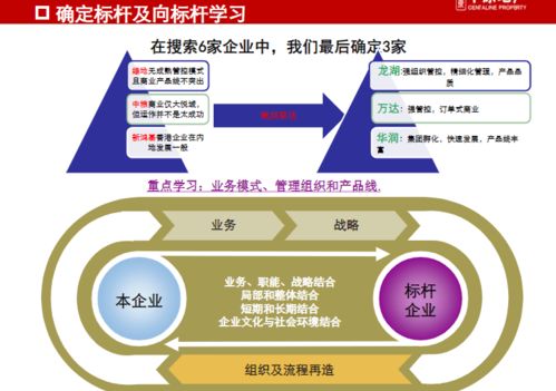 龍湖、萬(wàn)達(dá)、華潤(rùn)商業(yè)地產(chǎn)管控與產(chǎn)品線專題研究